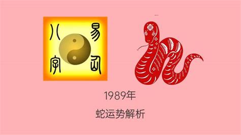 1989是什么蛇|1989年属蛇是什么命 1989年属蛇命运